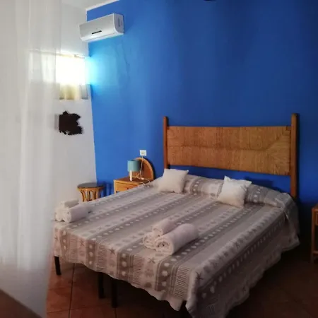 Terranova *